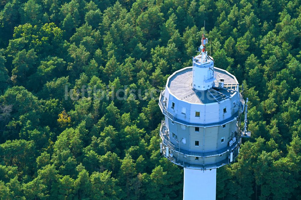 Blumberg aus der Vogelperspektive: Funkturm und Sendeanlage als Grundnetzsender in Birkholzaue im Bundesland Brandenburg
