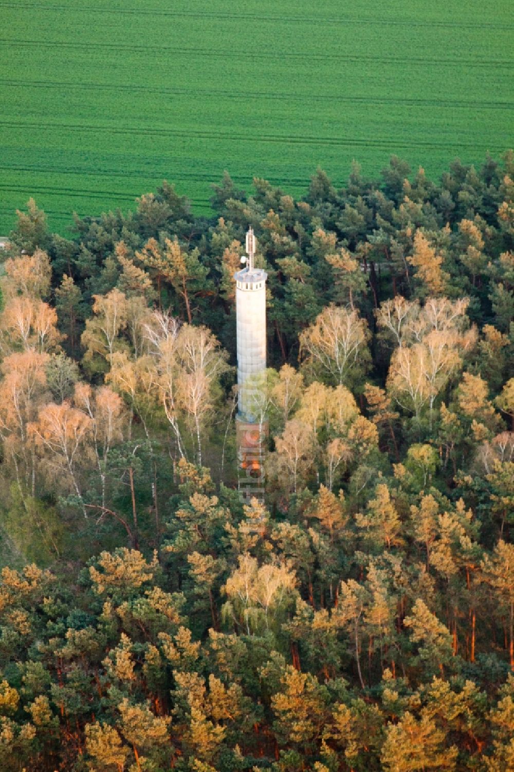 Luftaufnahme Jüterbog - Funkturm und Sendeanlage im Wald in Jüterbog im Bundesland Brandenburg