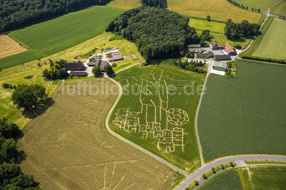 Luftaufnahme Selm - Fußball- Weltmeisterschafts- Begeisterung im Maisfeld- Labyrinth bei Selm im Bundesland Nordrhein-Westfalen