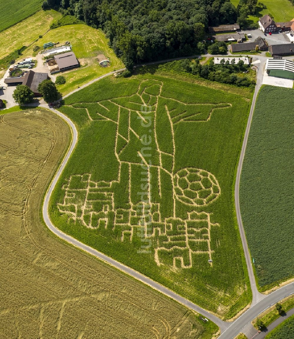 Selm von oben - Fußball- Weltmeisterschafts- Begeisterung im Maisfeld- Labyrinth bei Selm im Bundesland Nordrhein-Westfalen