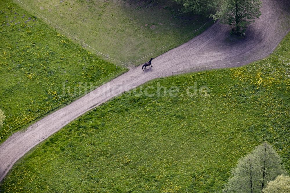 Werneuchen aus der Vogelperspektive: Galopierendes Pferd auf einem Feldweg in Werneuchen im Bundesland Brandenburg