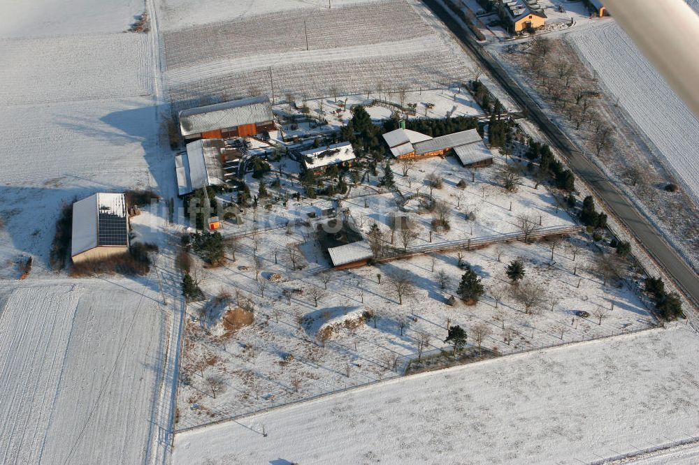 Luftbild Engelstadt - Garten-und Landschaftsbau Engelstadt