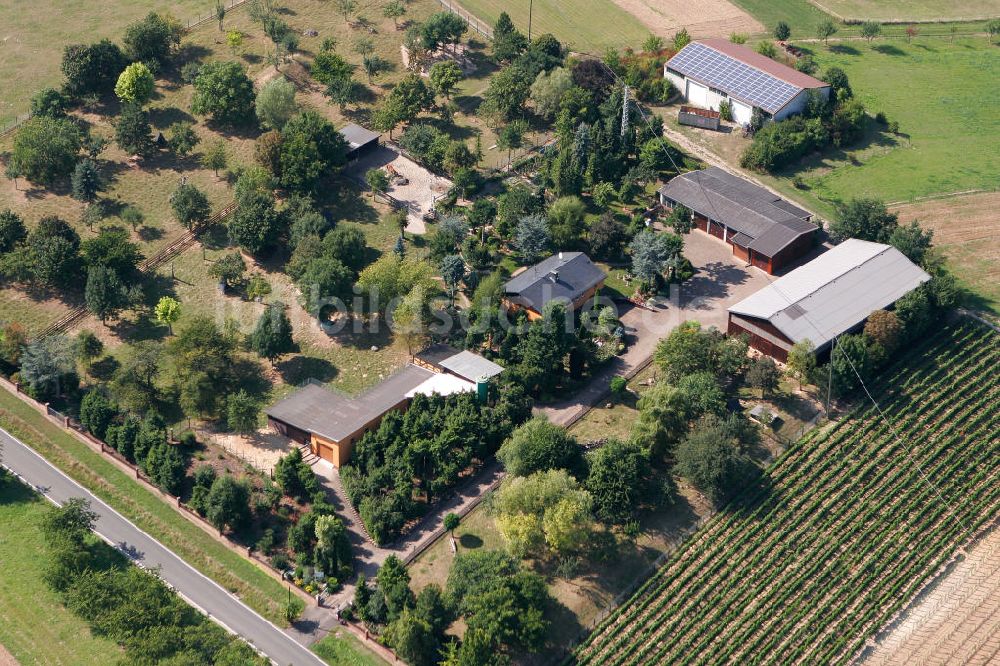 Engelstadt aus der Vogelperspektive: Garten-und Landschaftsbau Engelstadt