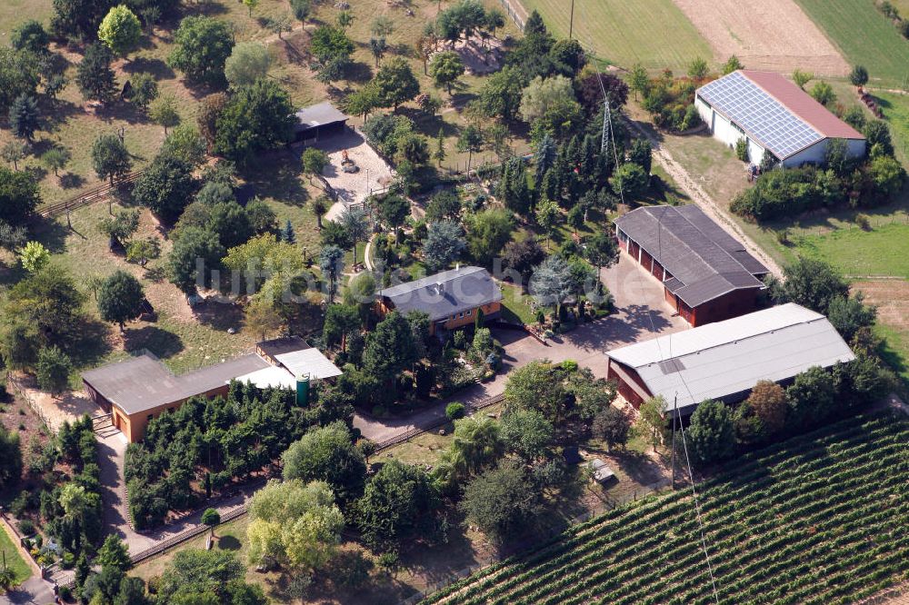 Luftbild Engelstadt - Garten-und Landschaftsbau Engelstadt