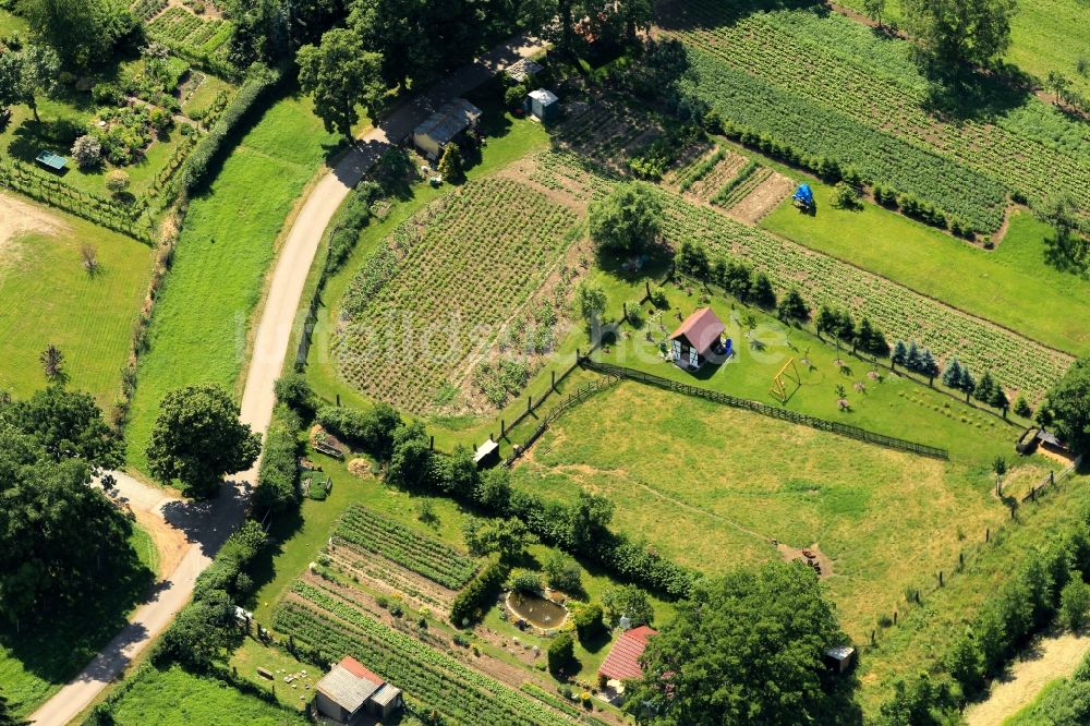 Gebesee von oben - Gartenanlage in Gebesee im Bundesland Thüringen