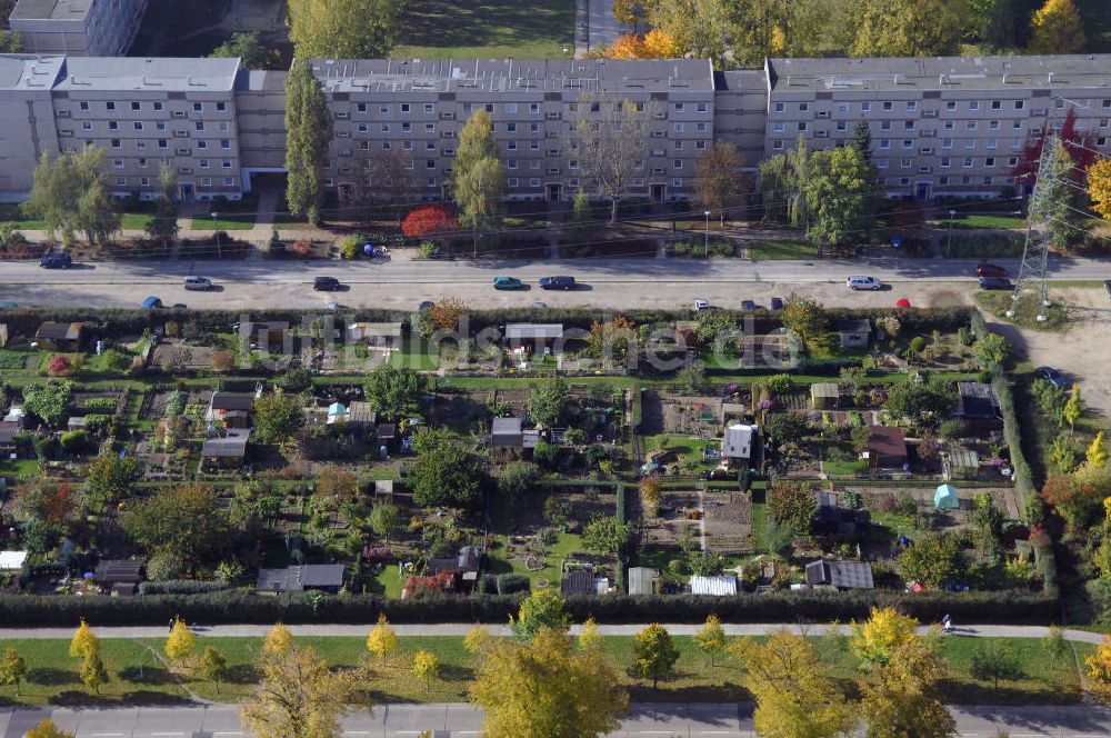 Luftaufnahme Brandenburg - Gartensiedlung im Neubaugebiet Brandenburg Nord