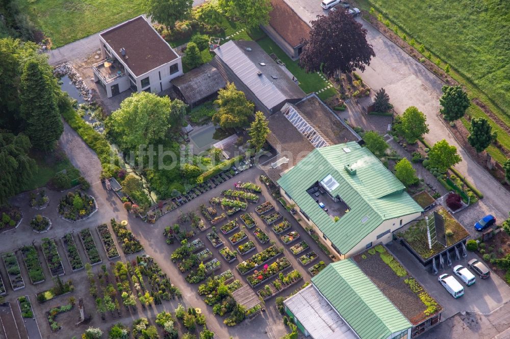 Berg (Pfalz) aus der Vogelperspektive: Gebäude und Beete der Bienwald Baumschule, Gärtnerei, Landschaftsgärtner Greentec GmbH in Berg (Pfalz) im Bundesland Rheinland-Pfalz, Deutschland