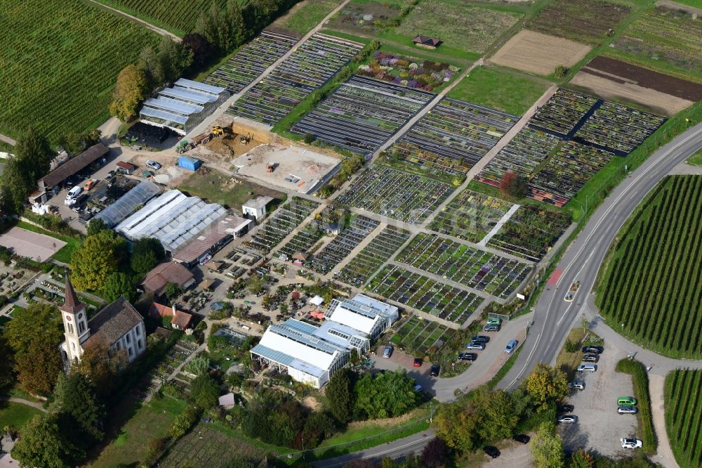 Luftbild Sulzburg - Gebäude, Beete und Pflanzenmarkt auf dem Gelände der Staudengärtnerei Gräfin von Zeppelin im Ortsteil Laufen in Sulzburg im Bundesland Baden-Württemberg, Deutschland