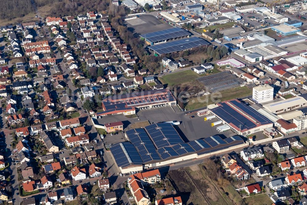 Luftaufnahme Maxdorf - Gebäude des Großhandelszentrum Willi Sinn Früchtegroßhandel GmbH in Maxdorf im Bundesland Rheinland-Pfalz, Deutschland