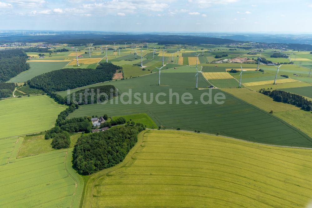 Brilon von oben - Gebäude und Parkanlagen des Gutshauses und Herrenhauses in Brilon im Bundesland Nordrhein-Westfalen, Deutschland