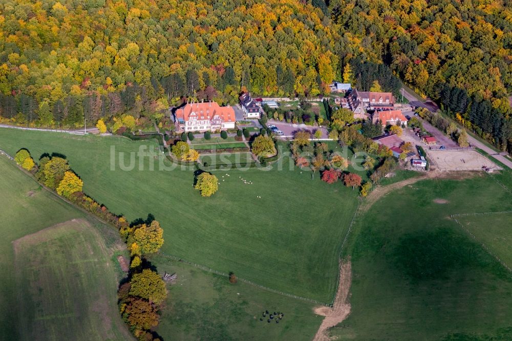 Niederbronn-les-Bains von oben - Gebäude und Parkanlagen des Gutshauses und Herrenhauses Chambres d'Hôtes Villa le Riesack und des Hofes Ferme Mellon am herbstlich gefärbten Waldrand in Niederbronn-les-Bains in Grand Est, Frankreich