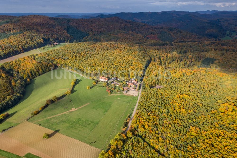 Luftbild Niederbronn-les-Bains - Gebäude und Parkanlagen des Gutshauses und Herrenhauses Chambres d'Hôtes Villa le Riesack und des Hofes Ferme Mellon am herbstlich gefärbten Waldrand in Niederbronn-les-Bains in Grand Est, Frankreich