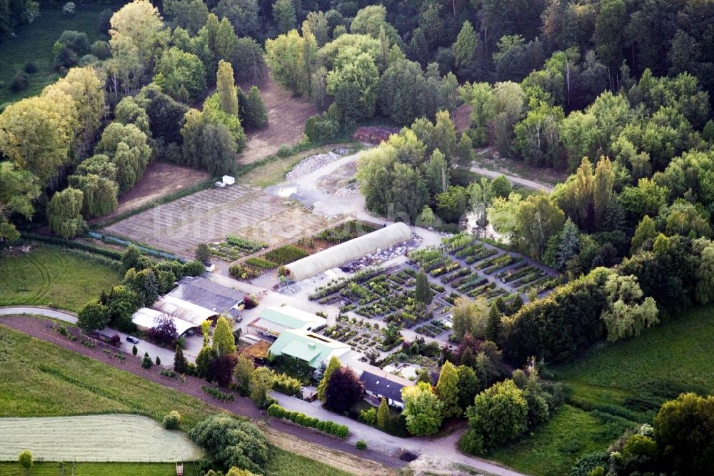 Berg (Pfalz) aus der Vogelperspektive: Gebäude des Pflanzenmarkt Bienwaldbaumschule in Berg (Pfalz) im Bundesland Rheinland-Pfalz