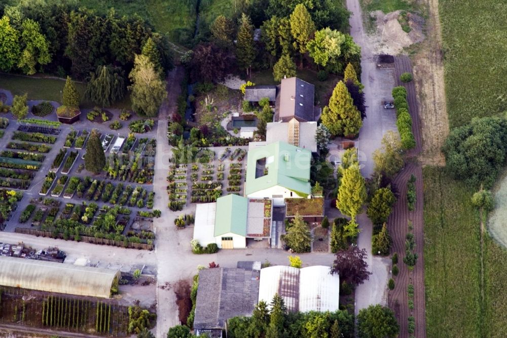 Luftbild Berg (Pfalz) - Gebäude des Pflanzenmarkt Bienwaldbaumschule in Berg (Pfalz) im Bundesland Rheinland-Pfalz