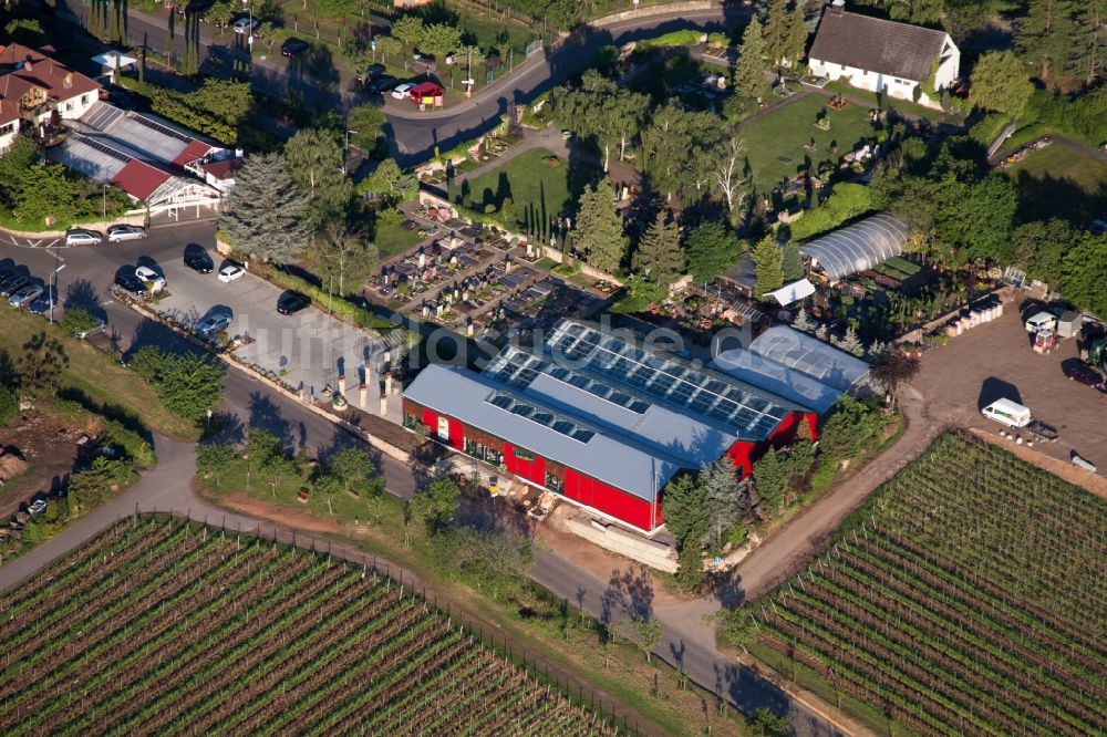 Neustadt an der Weinstraße aus der Vogelperspektive: Gebäude des Pflanzenmarkt Blumen Schupp in Neustadt an der Weinstraße im Bundesland Rheinland-Pfalz, Deutschland