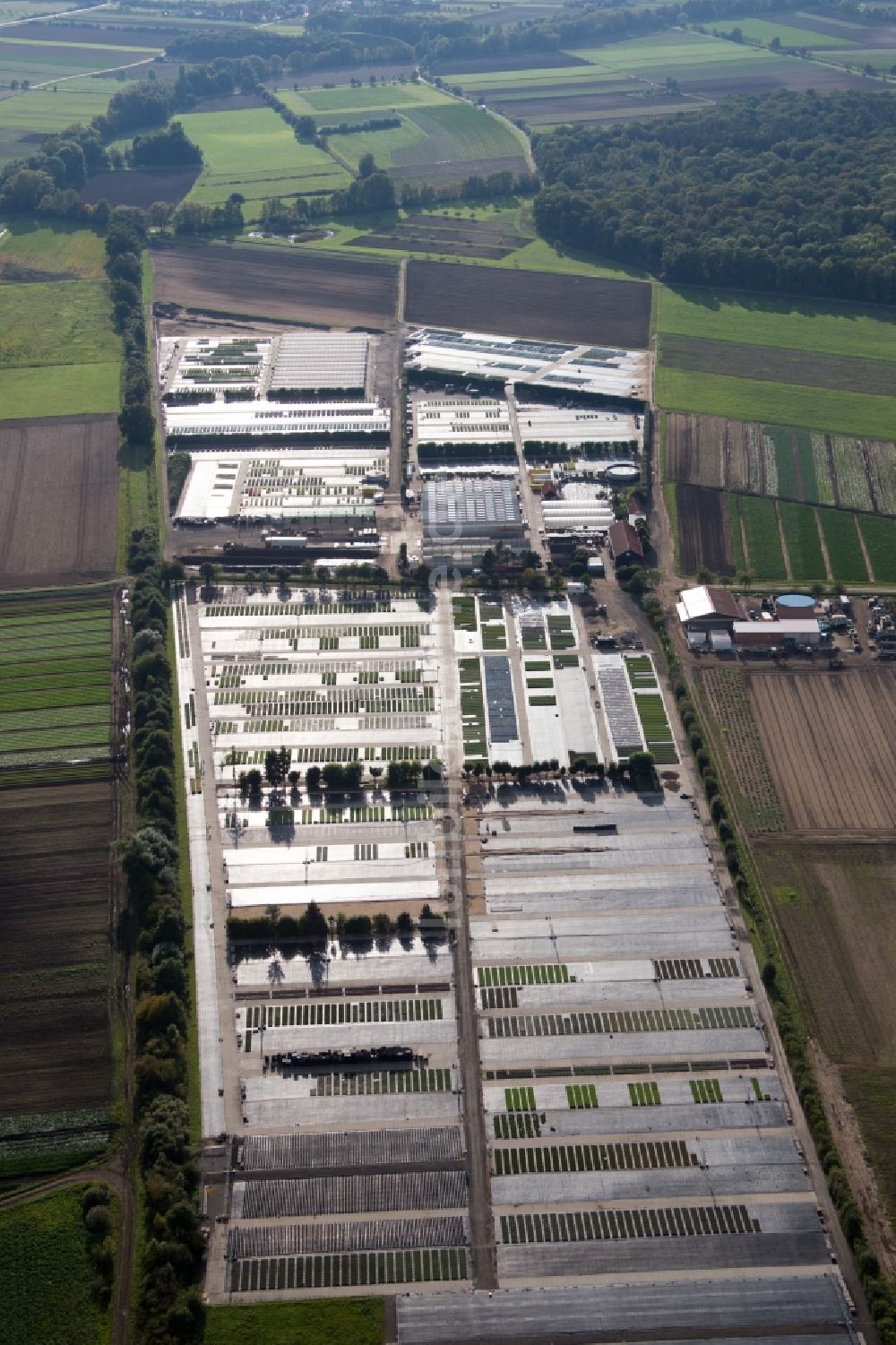 Gochsheim von oben - Gebäude des Pflanzenmarkt Dieter Denzer in Gochsheim im Bundesland Bayern, Deutschland