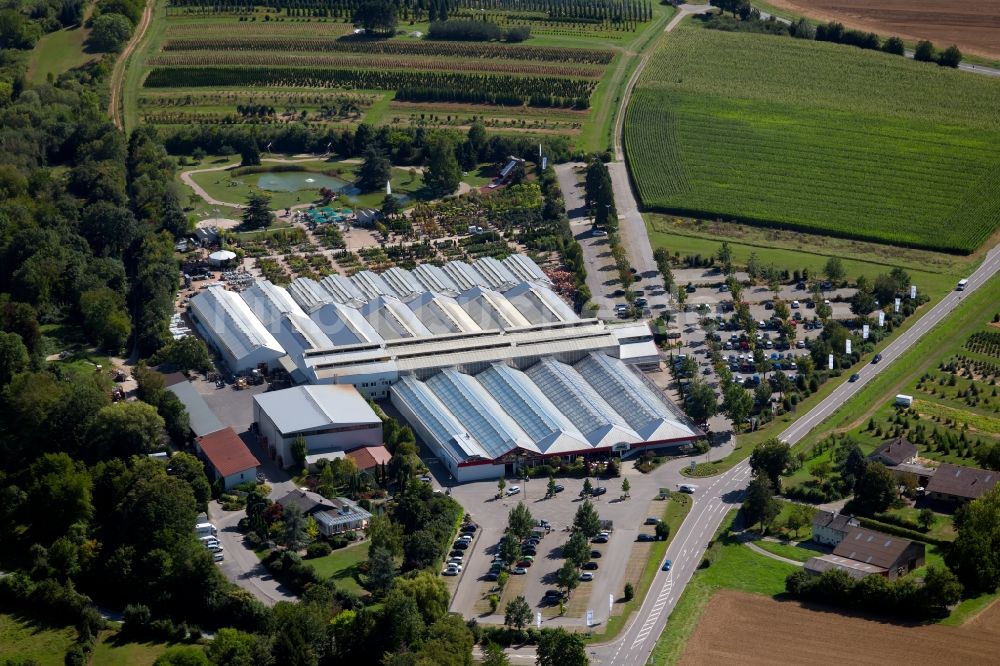 Lauffen am Neckar von oben - Gebäude des Pflanzenmarkt der Pflanzen Mauk Gartencenter GmbH am Landturm in Lauffen am Neckar im Bundesland Baden-Württemberg, Deutschland