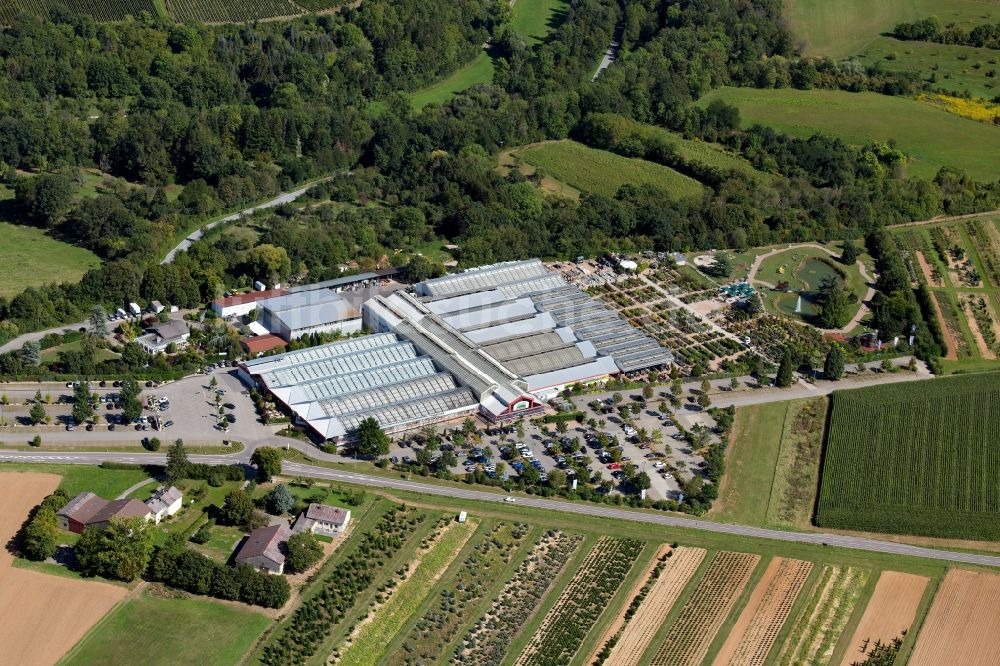 Lauffen am Neckar aus der Vogelperspektive: Gebäude des Pflanzenmarkt der Pflanzen Mauk Gartencenter GmbH am Landturm in Lauffen am Neckar im Bundesland Baden-Württemberg, Deutschland