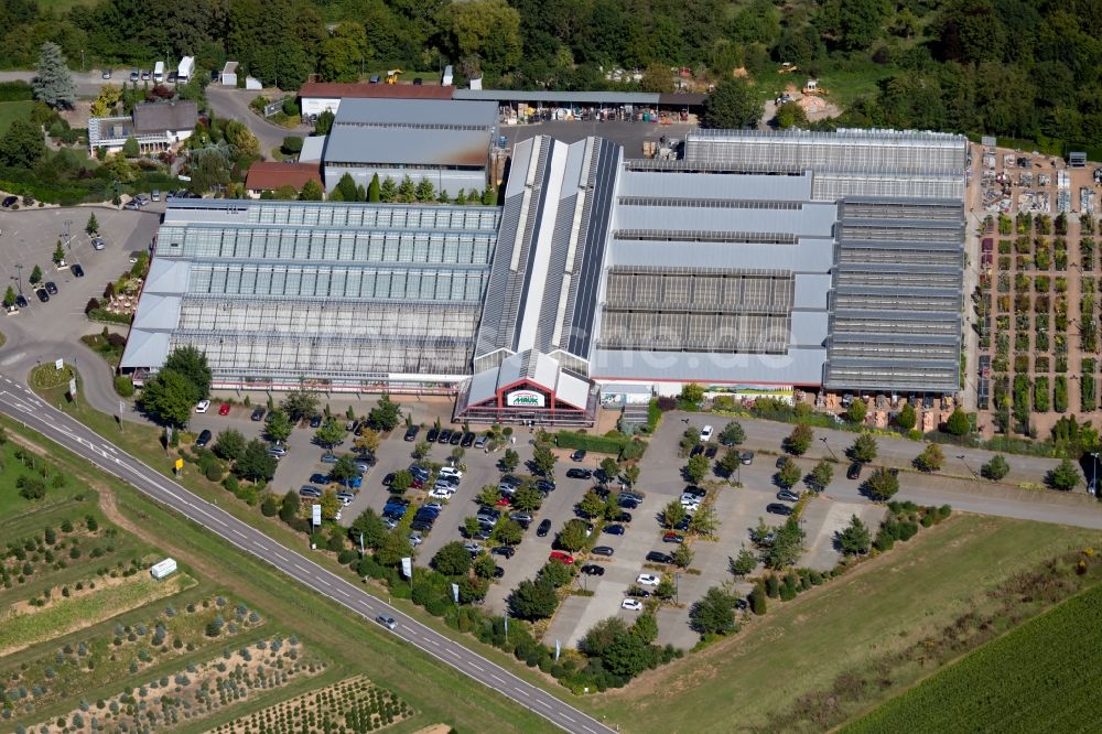 Luftaufnahme Lauffen am Neckar - Gebäude des Pflanzenmarkt der Pflanzen Mauk Gartencenter GmbH am Landturm in Lauffen am Neckar im Bundesland Baden-Württemberg, Deutschland