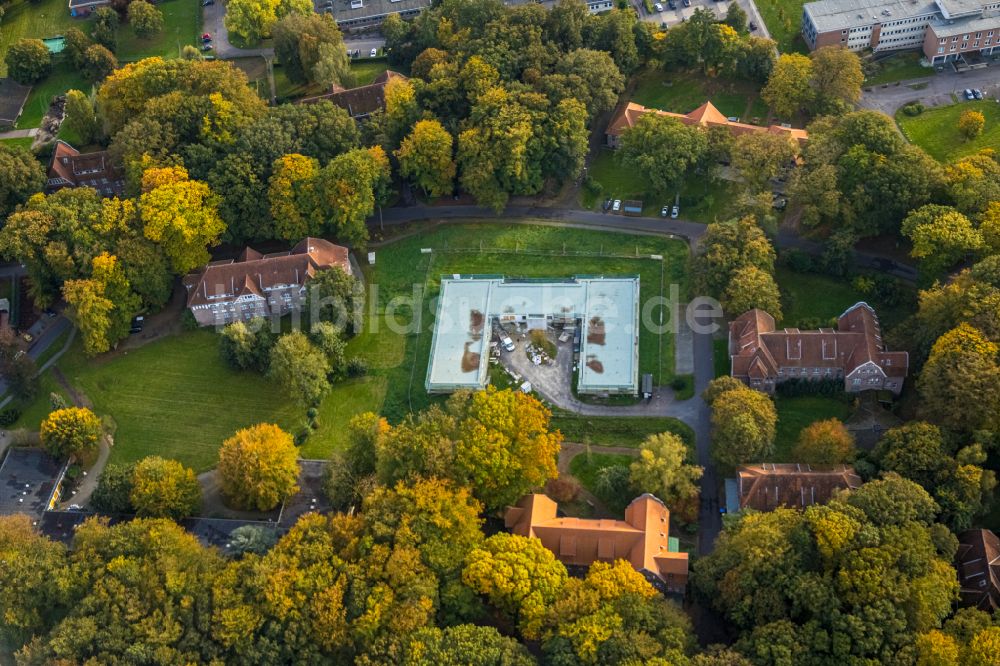 Luftbild Bedburg-Hau - Gebäudekomplex der Berufsschule LVR-Paul-Moor-Schule bei der Straße Südlicher Rundweg in Bedburg-Hau im Bundesland Nordrhein-Westfalen, Deutschland