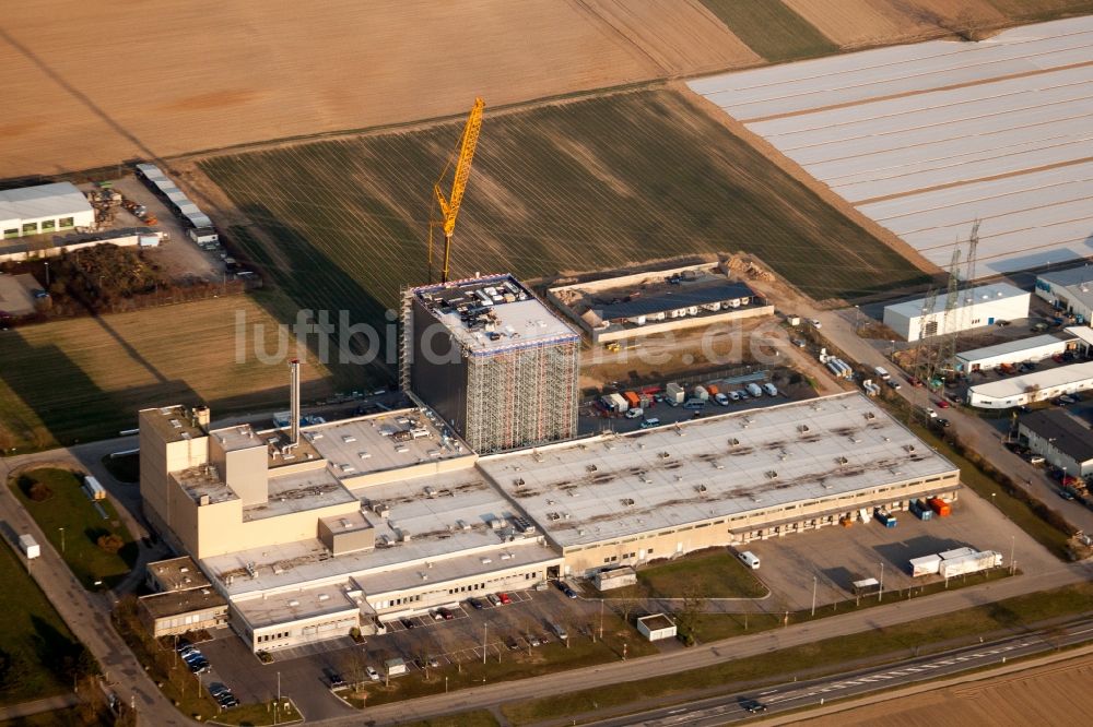 Ketsch von oben - Gebäudekomplex und Gelände des Logistikzentrums Aldi Süd in Ketsch im Bundesland Baden-Württemberg, Deutschland