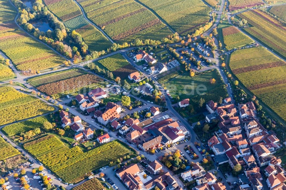 Sankt Martin aus der Vogelperspektive: Gebäudekomplex der Hotelanlage andhaus Christmann - Weingut & Brennerei in Sankt Martin im Bundesland Rheinland-Pfalz, Deutschland