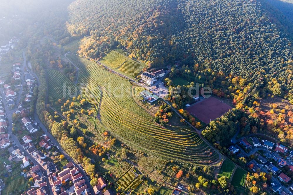 Sankt Martin von oben - Gebäudekomplex der Hotelanlage Haus am Weinberg in Sankt Martin im Bundesland Rheinland-Pfalz, Deutschland