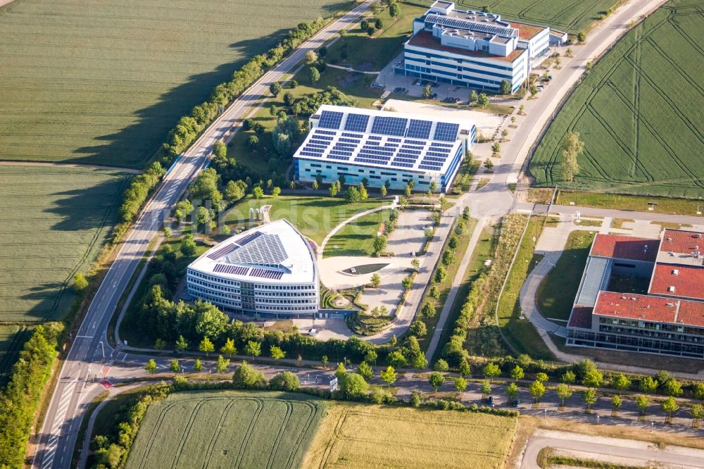 Ulm von oben - Gebäudekomplex des Institut BMW Car IT GmbH in Ulm im Bundesland Baden-Württemberg, Deutschland