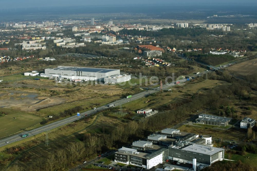 Luftbild Frankfurt (Oder) - Gebäudekomplex des Institut IHP GmbH Im Technologiepark in Frankfurt (Oder) im Bundesland Brandenburg