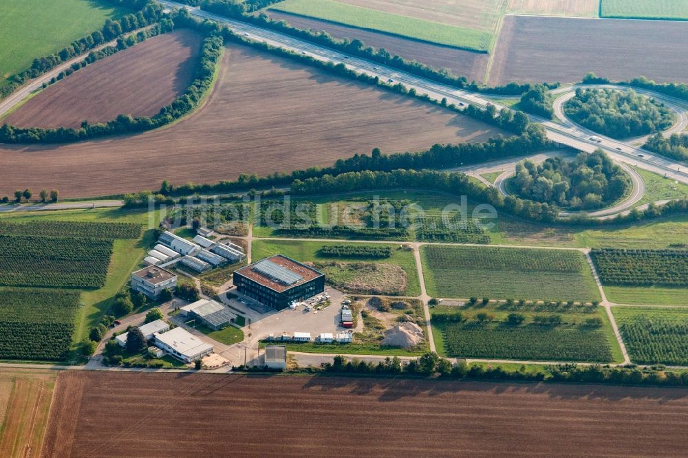 Luftaufnahme Dossenheim - Gebäudekomplex des Julius-Kühn Institut in Dossenheim im Bundesland Baden-Württemberg, Deutschland