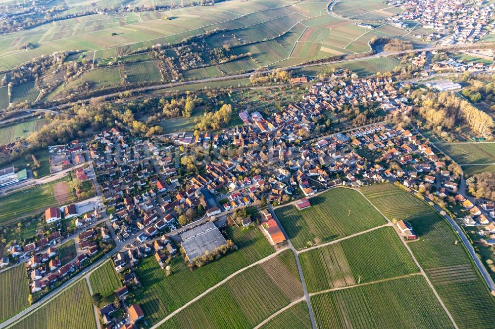 Luftbild Siebeldingen - Gebäudekomplex des Julius Kühn-Institut Rebforschungsanstalt Geilweilerhof mit blühenden Mandelbäumen in Siebeldingen im Bundesland Rheinland-Pfalz, Deutschland