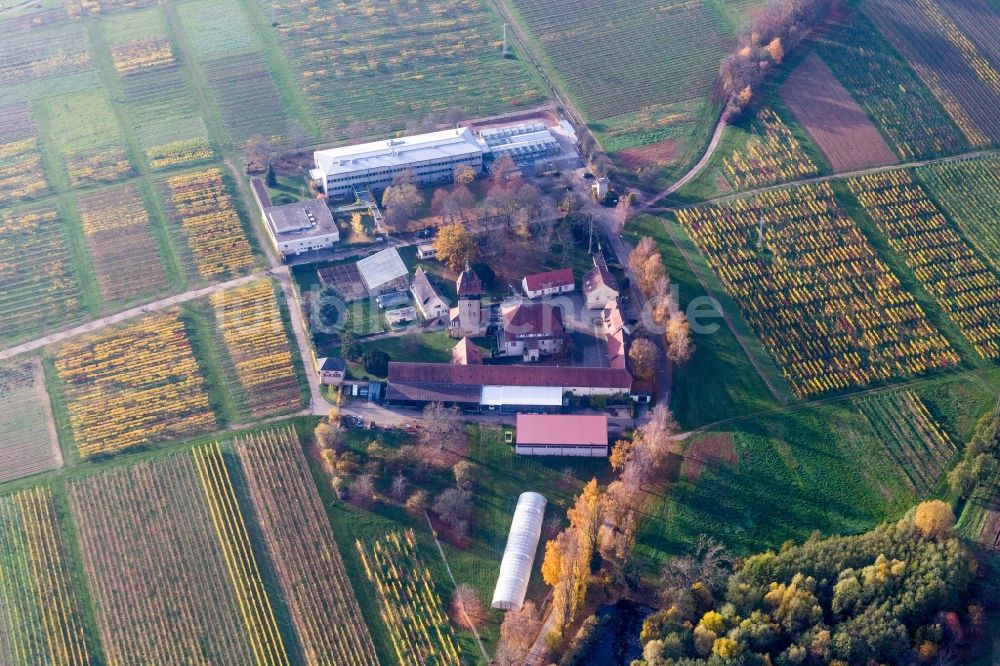 Luftbild Siebeldingen - Gebäudekomplex des Julius Kühn-Institut Rebforschungsanstalt Geilweilerhof in Siebeldingen im Bundesland Rheinland-Pfalz, Deutschland