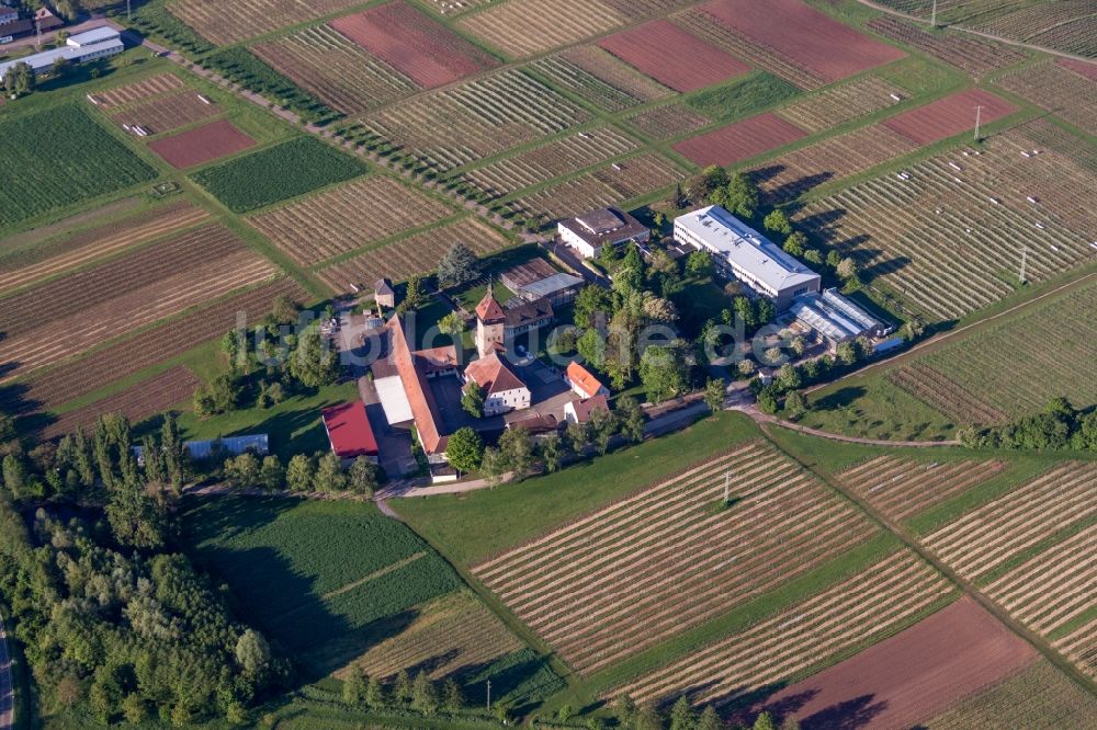 Siebeldingen aus der Vogelperspektive: Gebäudekomplex des Julius Kühn-Institut Rebforschungsanstalt Geilweilerhof in Siebeldingen im Bundesland Rheinland-Pfalz, Deutschland