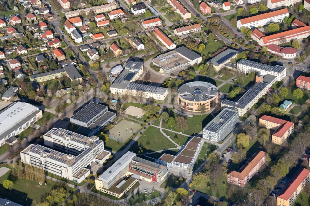 Luftaufnahme Senftenberg - Gebäudekomplex der Universität Cottbus-Senftenberg in Senftenberg im Bundesland Brandenburg