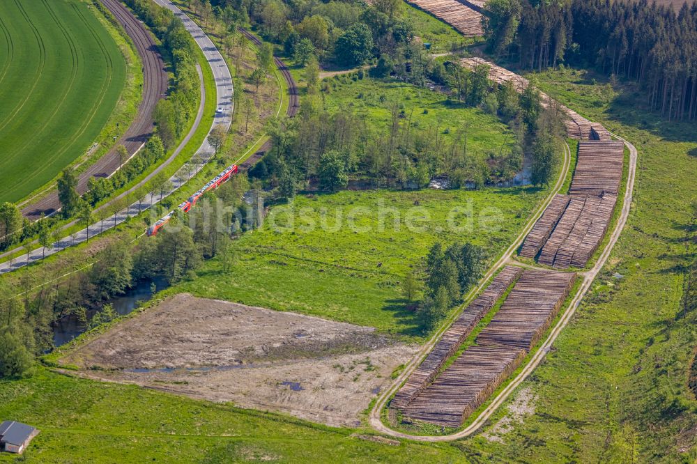 Luftbild Ramsbeck - Gefallte Baumstamme in Ramsbeck im Bundesland Nordrhein-Westfalen, Deutschland