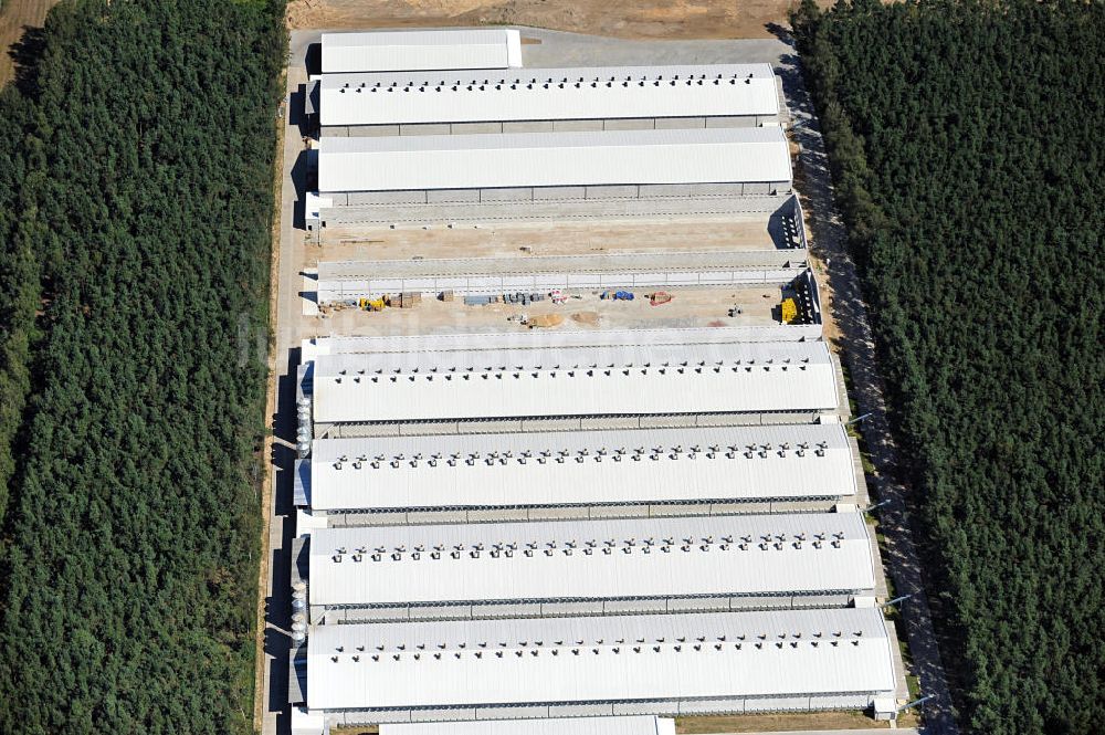 DUSCHNIK / DUSZNIKI von oben - Geflügelfarm in Duschnik in der Woiwodschaft Großpolen