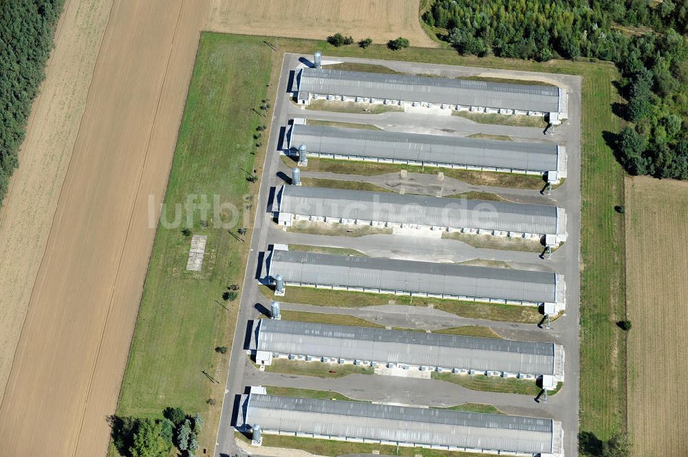 DUSCHNIK / DUSZNIKI von oben - Geflügelfarm in Duschnik in der Woiwodschaft Großpolen