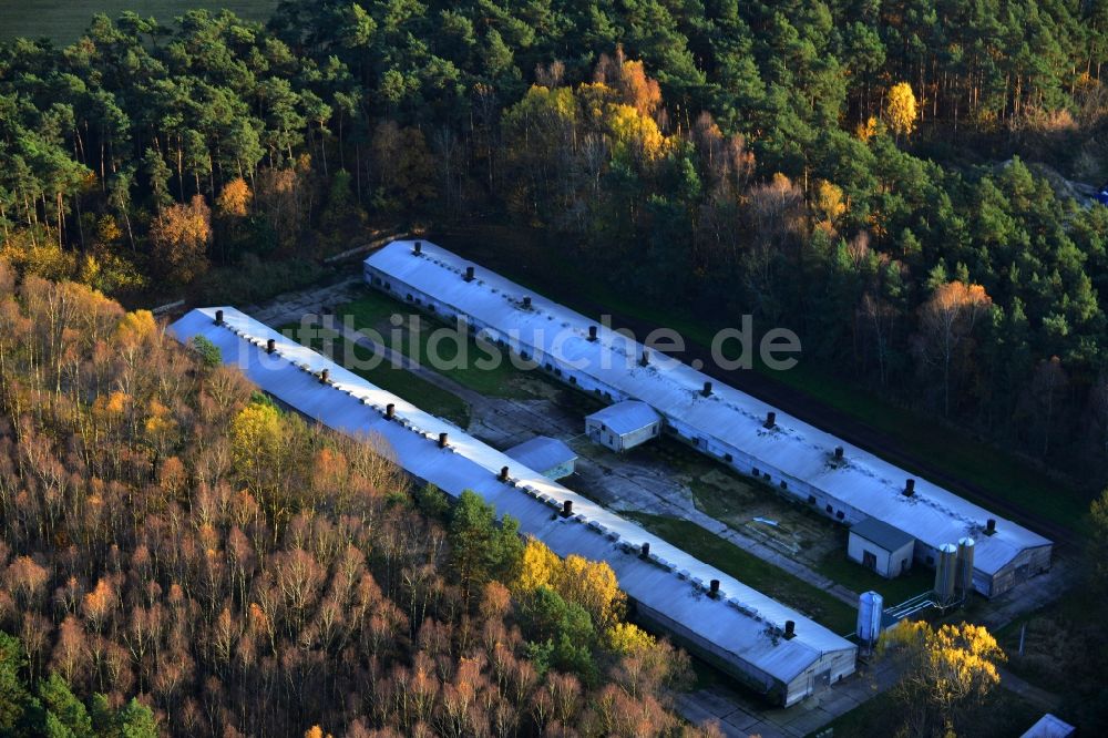 Luftaufnahme Biesenthal - Geflügelmastanlage Biesenthal im Bundesland Brandenburg