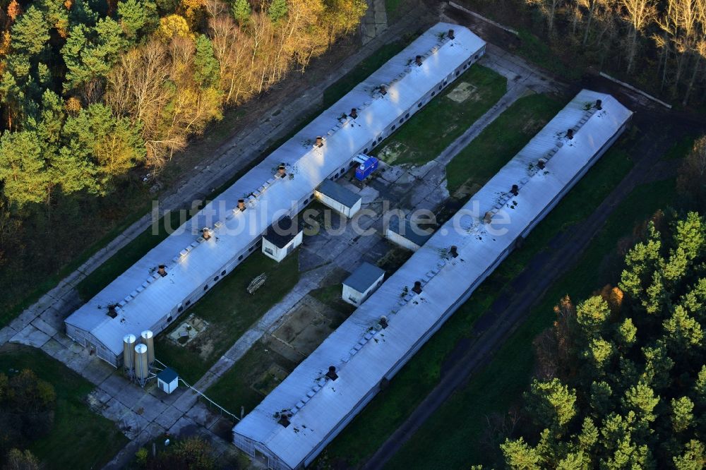 Biesenthal von oben - Geflügelmastanlage Biesenthal im Bundesland Brandenburg