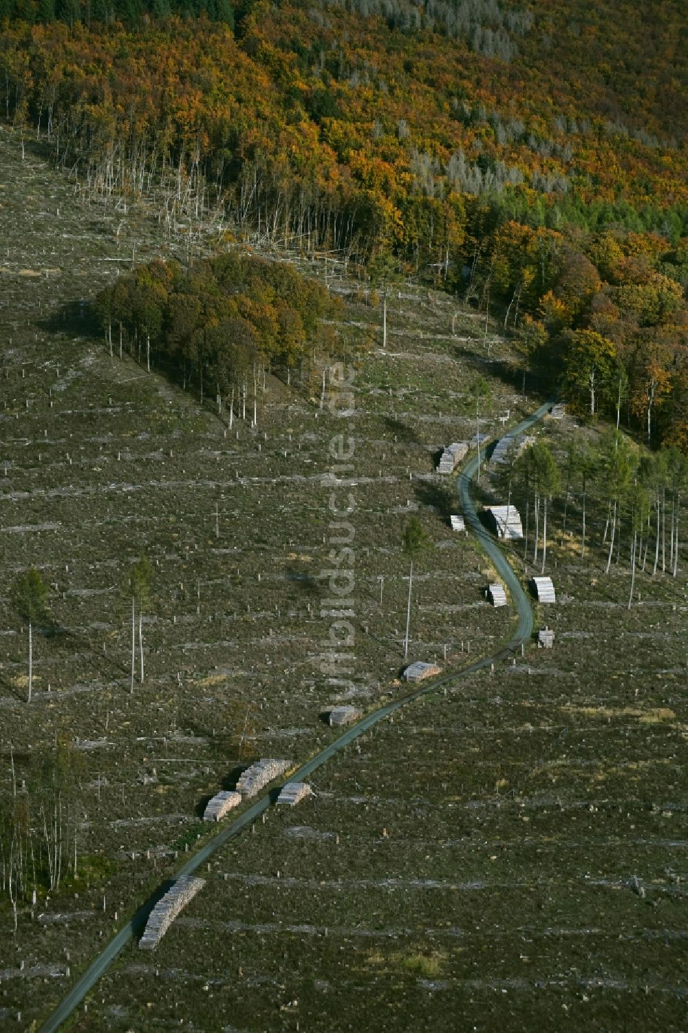 Anspach von oben - Gefällte Baumstämme an einem Waldgrundstück in Anspach im Bundesland Hessen, Deutschland