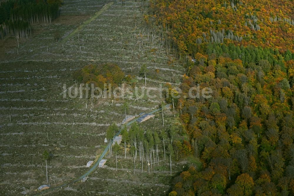 Luftbild Anspach - Gefällte Baumstämme an einem Waldgrundstück in Anspach im Bundesland Hessen, Deutschland