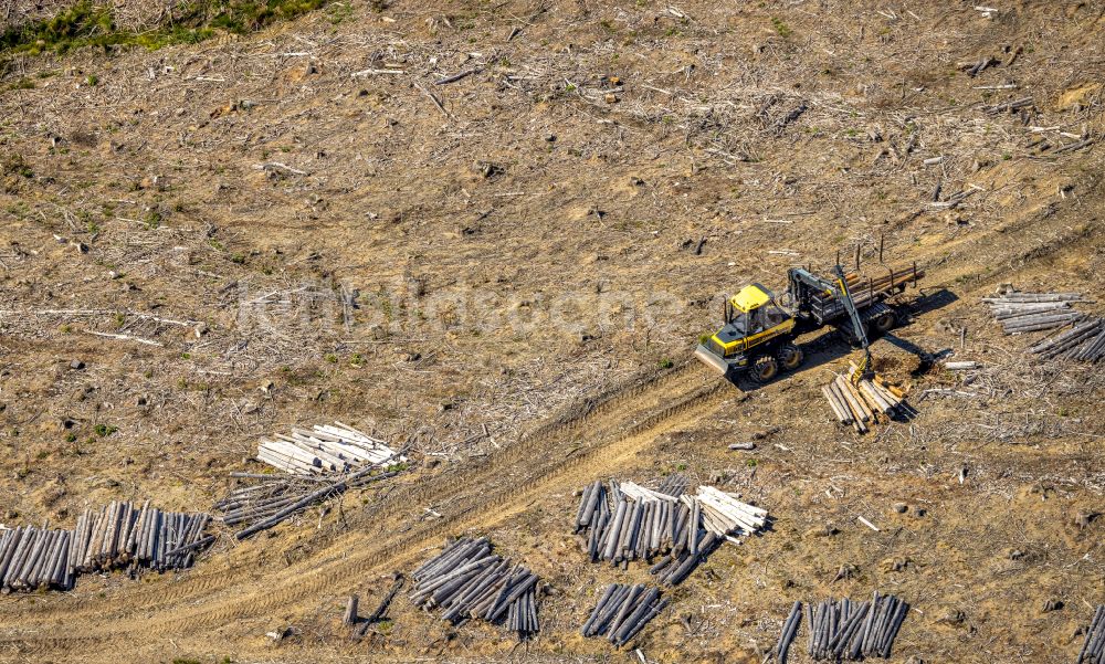 Arnsberg aus der Vogelperspektive: Gefällte Baumstämme an einem Waldgrundstück in Arnsberg im Bundesland Nordrhein-Westfalen, Deutschland