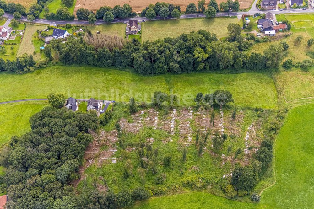 Bausenhagen aus der Vogelperspektive: Gefällte Baumstämme an einem Waldgrundstück in Bausenhagen im Bundesland Nordrhein-Westfalen, Deutschland