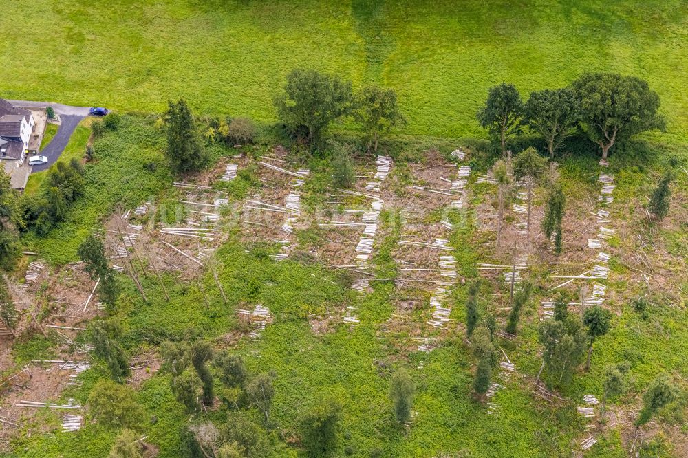 Luftbild Bausenhagen - Gefällte Baumstämme an einem Waldgrundstück in Bausenhagen im Bundesland Nordrhein-Westfalen, Deutschland