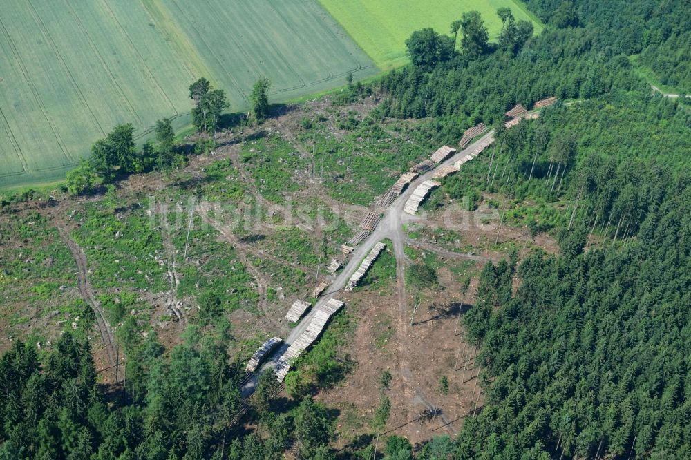 Kalefeld von oben - Gefällte Baumstämme an einem Waldgrundstück in Kalefeld im Bundesland Niedersachsen, Deutschland