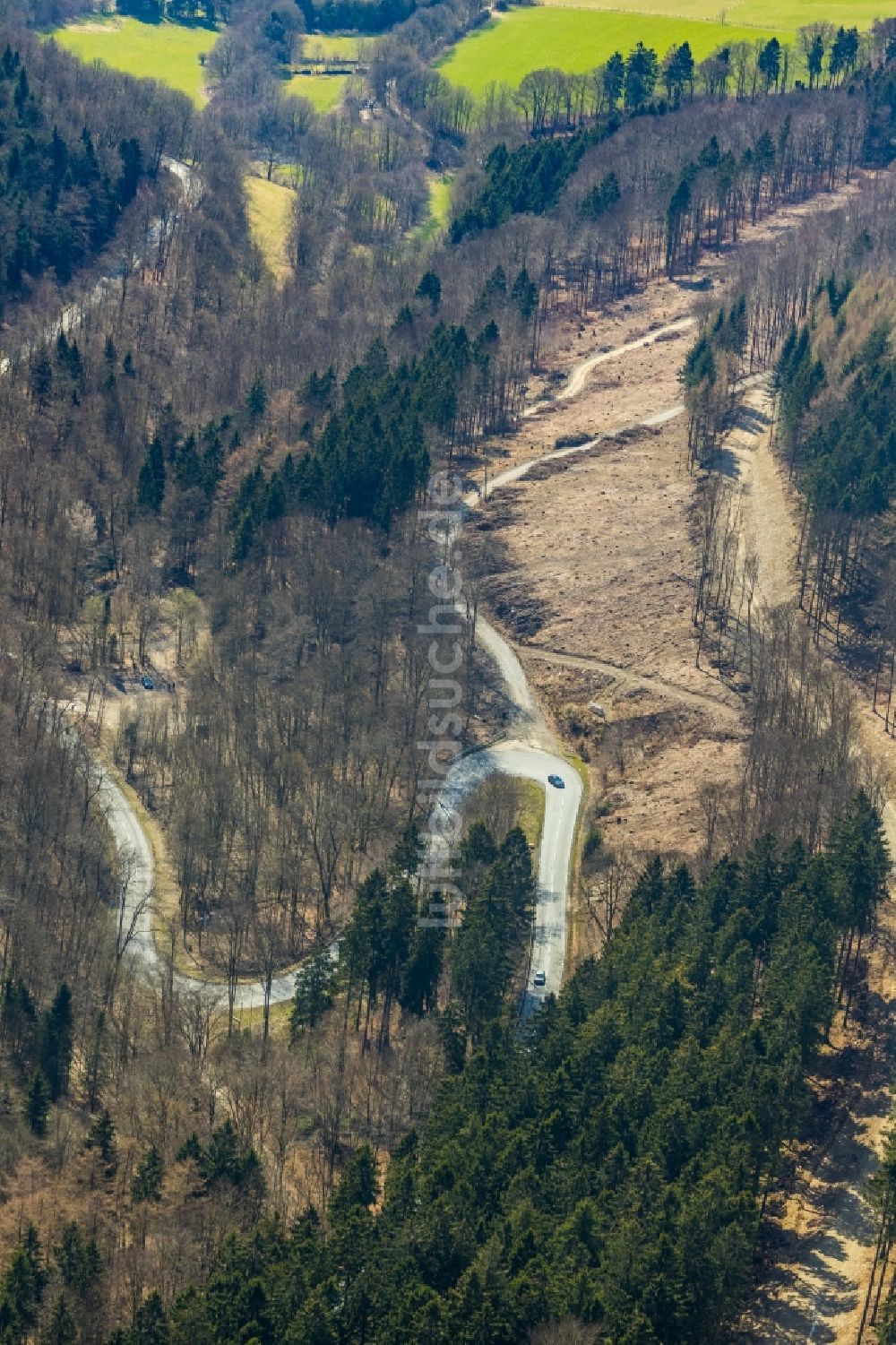 Luftaufnahme Schmallenberg - Gefällte Baumstämme an einem Waldgrundstück in Vorbereitung einer zur Ortsumgehung in Schmallenberg im Bundesland Nordrhein-Westfalen, Deutschland