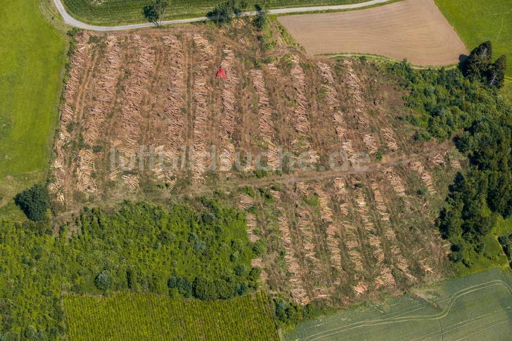 Wehrstapel von oben - Gefällte Baumstämme an einem Waldgrundstück in Wehrstapel im Bundesland Nordrhein-Westfalen, Deutschland