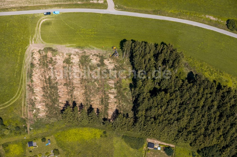 Luftbild Wehrstapel - Gefällte Baumstämme an einem Waldgrundstück in Wehrstapel im Bundesland Nordrhein-Westfalen, Deutschland