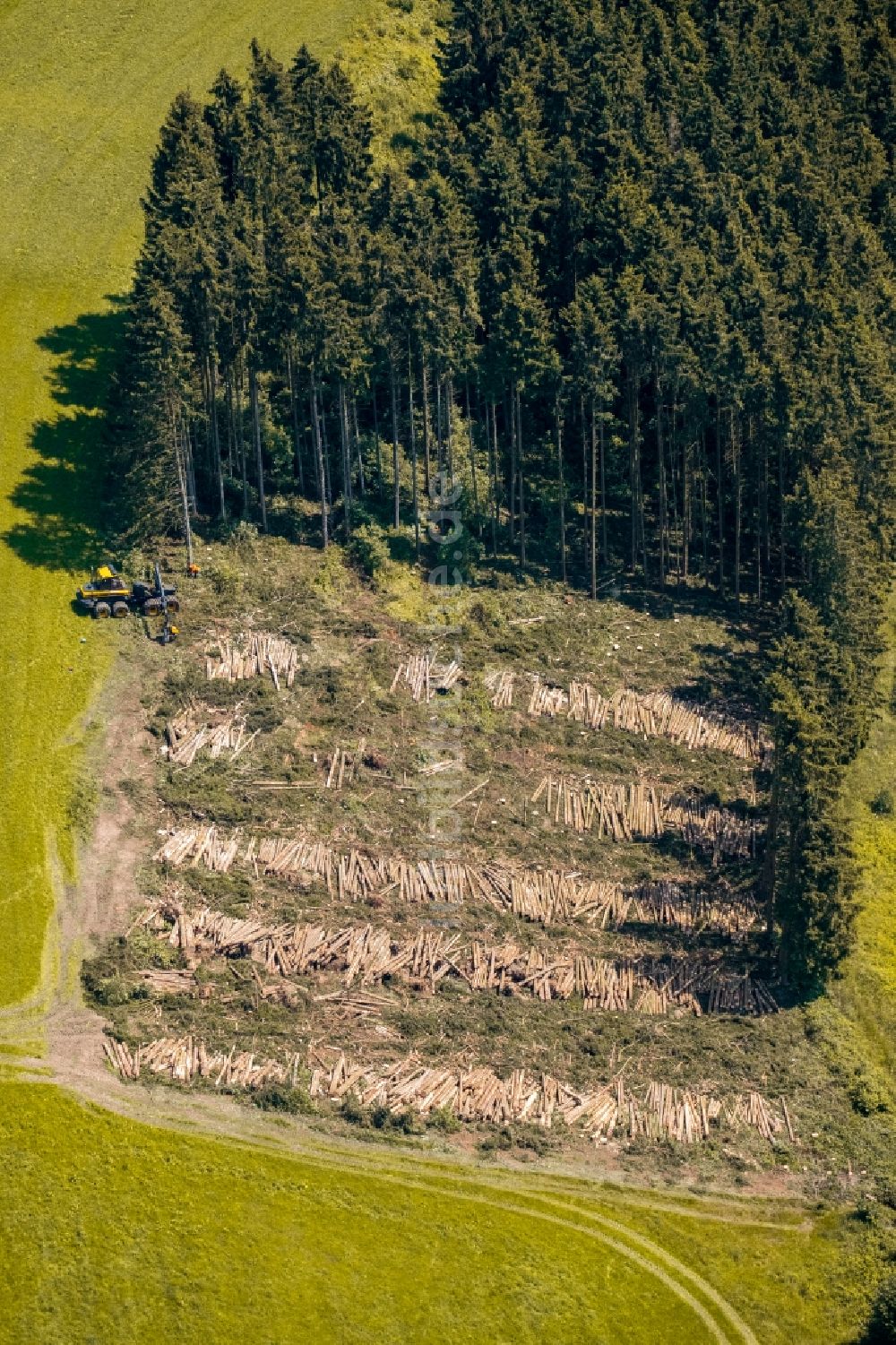 Luftaufnahme Wehrstapel - Gefällte Baumstämme an einem Waldgrundstück in Wehrstapel im Bundesland Nordrhein-Westfalen, Deutschland