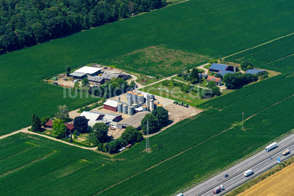 Luftbild Mahlberg - Gehöft und Bauernhof Allmendfof in Mahlberg im Bundesland Baden-Württemberg, Deutschland